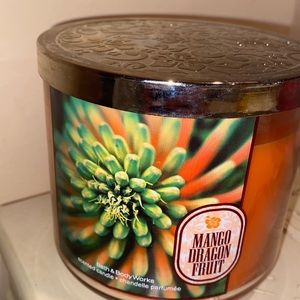 ⭐️ RARE/HTF BBW Mango Dragonfruit Candle